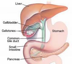 Dr Gidon Almogy, Gallbladder